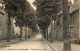 CPA - SAINT-PIERRE-le-MOUTIER (58) - Aspect Des Arbres Du Boulevard De La Gare En 1907 - Saint Pierre Le Moutier