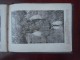 Delcampe - 1 Book - Views Of South Africa - Rare Old Photography Book - Zulu Tribe - Markets (31 Pages Scaned) - 1900-1949