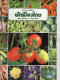 Delcampe - LIVRETS Fruits,Legumes Et Céréales D'ASIE  (lot De 3)   ANNEE 1977 - Practical