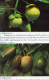 Delcampe - LIVRETS Fruits,Legumes Et Céréales D'ASIE  (lot De 3)   ANNEE 1977 - Practical