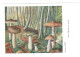 CPSM CHAMPIGNONS D EUROPE  TRICHOLOME CORTINAIRE  PAR ROGER HEIM PUB TERRAMYCINE - Paddestoelen