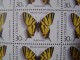 RUSSIA 1987MNH (**)YVERT 5377-78,80 Butterflies/ SHEET 3X36 Papillon/ De La FEUILLE 3X36 - Ganze Bögen