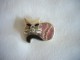 Neuf - Broche En Argent 925 En Forme De Chat Serti De Pierre Rhodoite Rose D'Argentine - Brooches