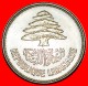 * FRANCE: LEBANON  25 PIASTERS 1952 CEDAR! LOW START  NO RESERVE! - Liban