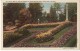 Tulip Bed At The Entrance To Washington Park, Portland, Oregon, Unused Postcard [17293] - Portland