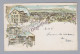 AK ZH DIETIKON 1901-06-06 Dietikon Litho L Guggenheim - Dietikon