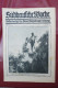 Delcampe - "Süddeutsche Woche" Bilderbeilage Der Neuen Augsburger Zeitung, Ausgaben 1/1931 Bis 37/1931 Und 39/1931 Bis 52/1931 - Contemporary Politics