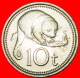 § POSSUM: PAPUA NEW GUINEA &#9733; 10 TOEA 1976 GREAT BRITAIN MINT LUSTER! LOW START&#9733; NO RESERVE! - Papoea-Nieuw-Guinea