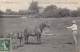 Sport.   Hippisme  La Vie Normande. C.P.A 32  La Mère Et L'enfant - Horse Show