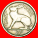 § HARE: IRELAND &#9733; 3 PENCE 1962! LOW START &#9733; NO RESERVE! - Irland