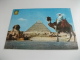 STORIA POSTALE FRANCOBOLLO COMMEMORATIVO EGITTO COSTUMI CAMMELLO GIZA DIE GROSSE SPHINX UND KEPHREN PYRAMIDE - Pyramiden