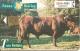 CARTE-PUCE-ESPAGNE-2000-TOROS-COMBAT-TBE - Vaches