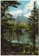 Nymph Lake In Rocky Mountain National Park, Colorado, Unused Postcard [18874] - Rocky Mountains