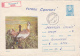 # BV 2706  WILD BIRD, ANIMALS, 1971, COVER STATIONARY, SENT TROUGH MAIL, ROMANIA - Oche