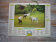 CALENDRIER  1985  ALMANACH DES  P T T VUES :   CHIEN BERGERS ALLEMANDS Et CHEVAUX AU PATURAGE - Grossformat : 1981-90