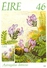 IRLANDE CARTE MAXIMUM NUM YVERT  659  FLORE FLEUR EN VOIE DE DISPARITION PROTECTION DE LA NATURE - Cartes-maximum