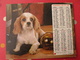 Calendrier Illustré En Carton De 1981. Almanach Des PTT Postes Facteur. Chien - Grand Format : 1981-90