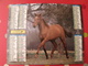 Calendrier Illustré En Carton De 1996. Almanach Des PTT Postes Facteur. Cheval Poulain - Grossformat : 1991-00