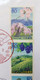 Japan The Scenery In Yamanashi 2007 Flower Mountain Fruits Flora Grape (stamp FDC) *see Scan - Covers & Documents