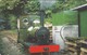 Isle Of Man, MAN 103, Steam Trains, Engine No.2, Sea Lion, 2 Scans. - Man (Eiland)