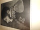 Delcampe - Annuaire Illustré De L'Armée Française/ Roger De Beauvoir /Plon-Nourrit éditeurs/dUBONNET:AmerPICON/1902    LIV113 - Autres & Non Classés