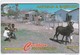 Antigua, ANT-17A, Kids At Play, Donkey, Esel, 2 Scans.   17CATA . - Antigua U. Barbuda