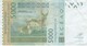 BILLETE DE SENEGAL DE 5000 FRANCS DEL AÑO 2003 CALIDAD EBC (XF) (CIERVO-DEER) (BANK NOTE) - Senegal