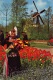 1968 Keukenhof - Lisse - Lisse