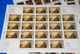Hermitage Painting - Germany France England - 6 X MNH VF Full Sheets, Russia - Fogli Completi