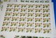 Russia VF MNH Sc 5379-83 Mi 5528-32 Siberia Medical Plants Full Sheets CV$100 - Full Sheets