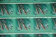 Delcampe - Russia MNH Sc 5954-5958 Mi 6158-62 Marine Life Fish Dolphin 5 X Complete Sheets - Full Sheets
