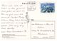 (888) Australia - (with Stamp At Back Of Card) - SA - Coober Pedy With Camel - Coober Pedy