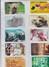 Italy, 10 Different Cards Number 5, Fox, Polar Bear, Camel, Otter, Sport, 2 Scans. - [4] Sammlungen