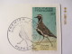 Enveloppe 1er Jour POLYNESIE Les Oiseaux En Polynésie  "TÖREA "  1982 - Cartas & Documentos