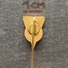 Badge (Pin) ZN006015 - Swimming Rowing / Kayak / Canoe Sailing Rugby Tennis Posnania 1907 - Kanu