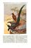 Delcampe - Die Paradies-oder Göttervögel (von Dr.Emil Carthaus.     / Druck, Entnommen Aus Zeitschrift /1924 - Bücherpakete
