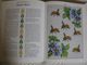 Delcampe - Loisirs  Créatifs  Points De Croix  English Garden Embroidery ( Stafford Whiteaker) 144 Pages - Bricolage