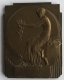 Médaille - Plaquette En Bronze Art Nouveau. A. Mauquoy. Reconnaissance. Union Professionnelle Des Opticiens. 60 X 80mm - Professionali / Di Società