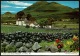 RB 1192 - 1965 John Hinde Postcard - Farm In The Mourne Mountains County Down Ireland - Down