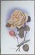 Delcampe - Cpa Lot 7x Litho Illustrateur Divers  BOUQUET Theme Rose Blanche Dont 1 X Double Voeux Mariage Voir PHOTOS - Collections & Lots