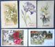 Cpa Lot 5x Litho Illustrateur Art Nouveau Divers Dont C. KLEIN Et Relief Dorure Theme Fleur De Lys - Collections & Lots