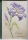 Cpa Lot 5x Litho Illustrateur Art Nouveau Divers Dont C. KLEIN Et Relief Dorure Theme Fleur De Lys - Collezioni E Lotti