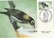 Delcampe - Lot De 14 Cartes Maxi Orchidées Papillons Oiseaux, Aquarium De Noumea - Maximum Cards