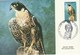 Delcampe - Lot De 14 Cartes Maxi Orchidées Papillons Oiseaux, Aquarium De Noumea - Maximum Cards