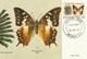 Delcampe - Lot De 14 Cartes Maxi Orchidées Papillons Oiseaux, Aquarium De Noumea - Maximum Cards