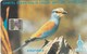 Gambia -  Kingfisher (CN: C511) - Gambia
