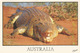 AUSTRALIA.  Darwin Salt-water Crocodile, Postcard Sent To Andorra, With Arrival Postmark - Darwin