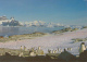 Ile Petermann - La Côte à La Belle Saison, Les Manchots Prennent Le Soleil - Photo Serge Kahn - Circulé 2000 - TAAF : Terres Australes Antarctiques Françaises