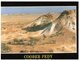 (1000) Australia - SA - Coober Pedy - Coober Pedy