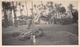 ¤¤  -   EGYPTE   -  MENPHIS   -  Le Sphinx En 1934   -  Voir Description       -  ¤¤ - Sphinx